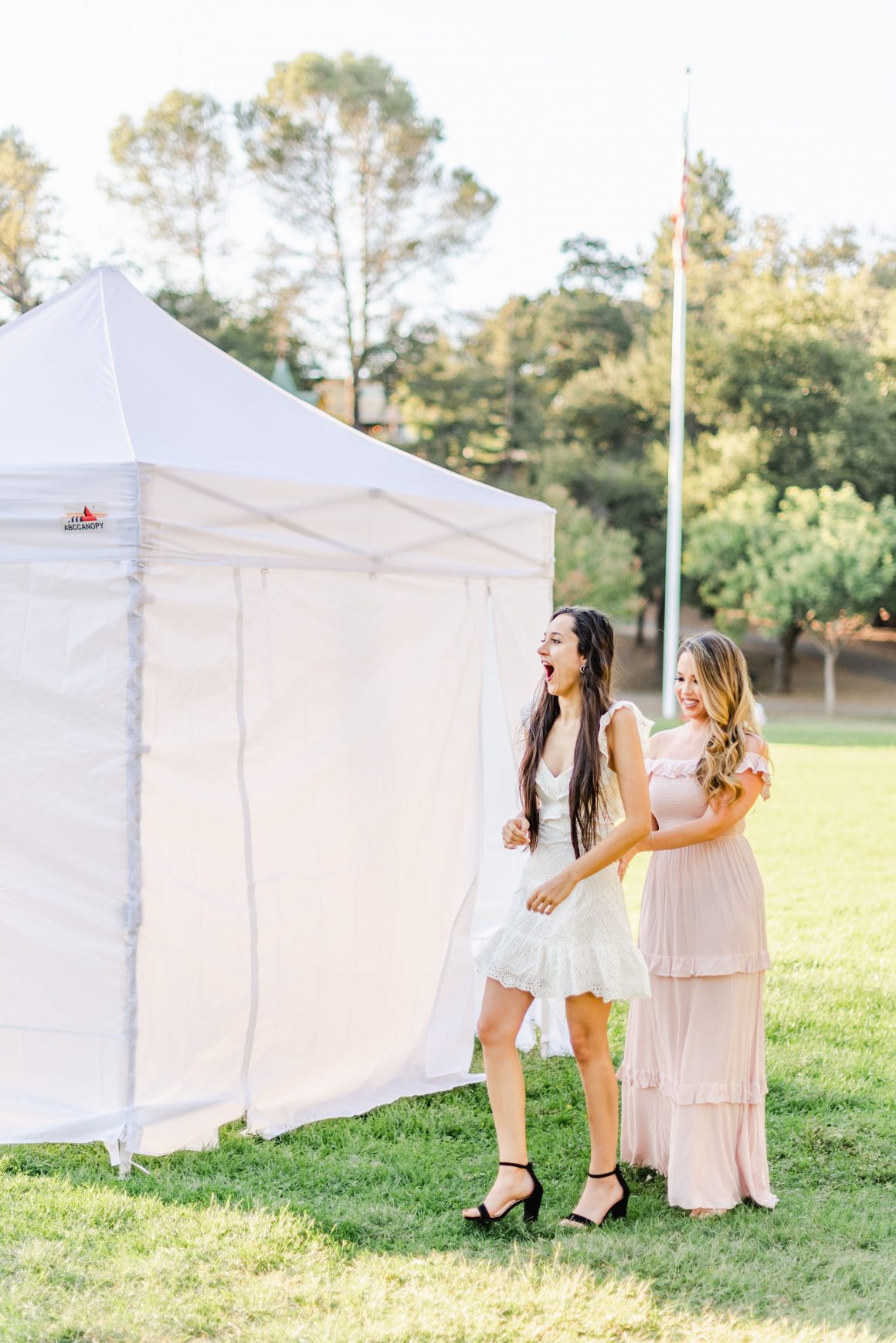 Ssproposal-149 | Sonia Begonia Surprise Flower Wall Proposal and Engagement