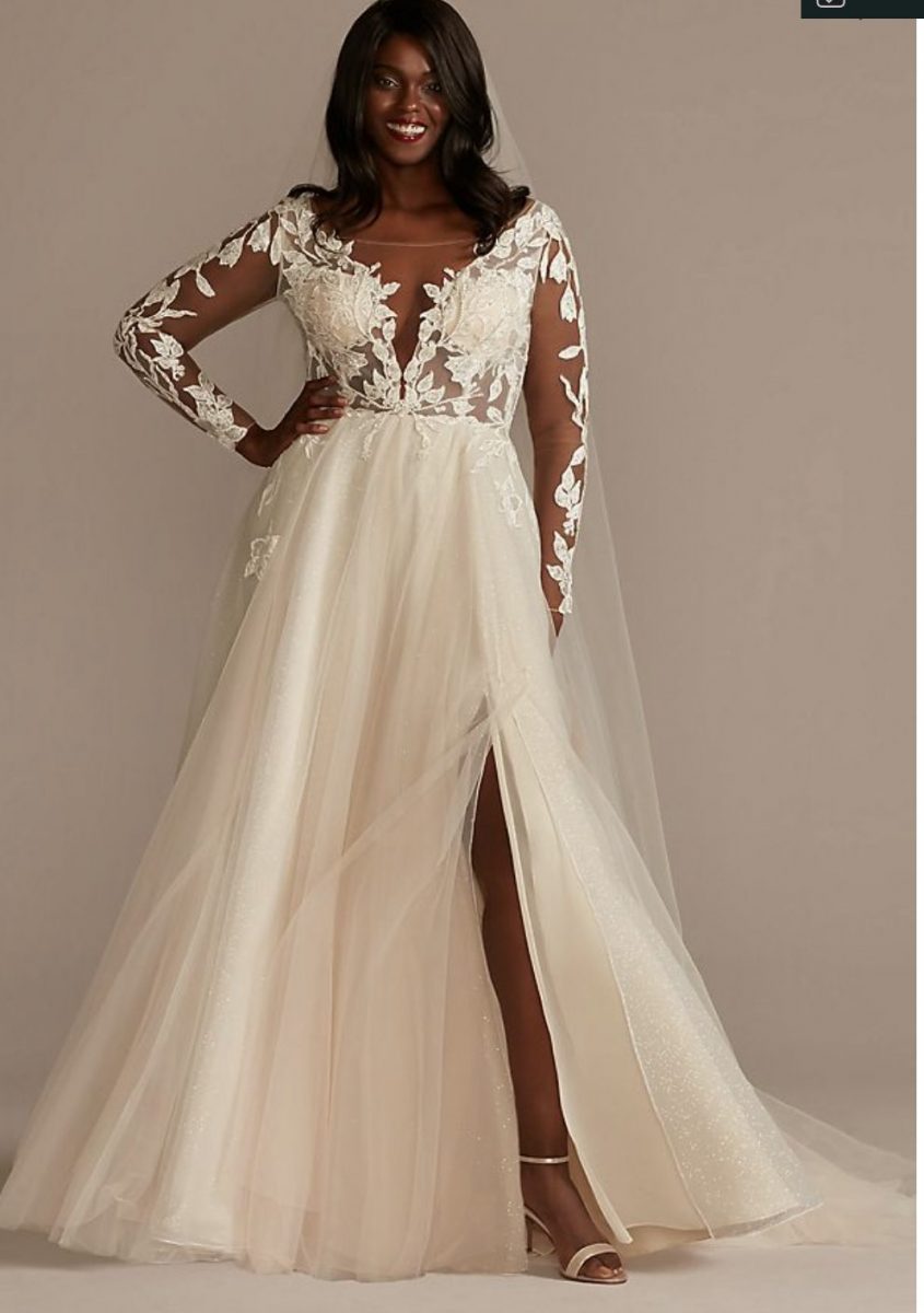 Plus-size-applique-wedding-dress | Sonia Begonia Best Plus Size Wedding Dresses for Cheap