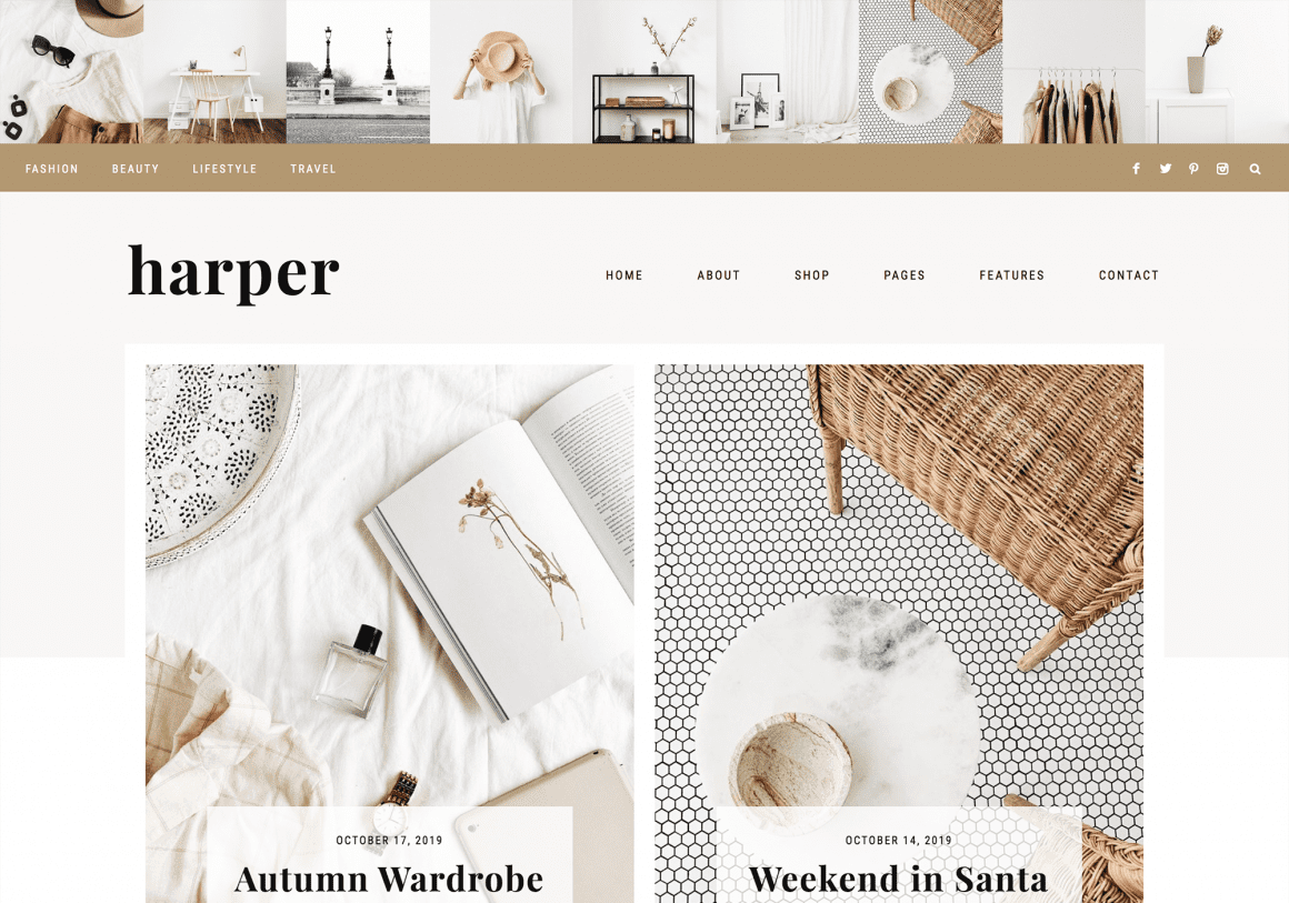 Best WordPress Themes for Fashion Bloggers
