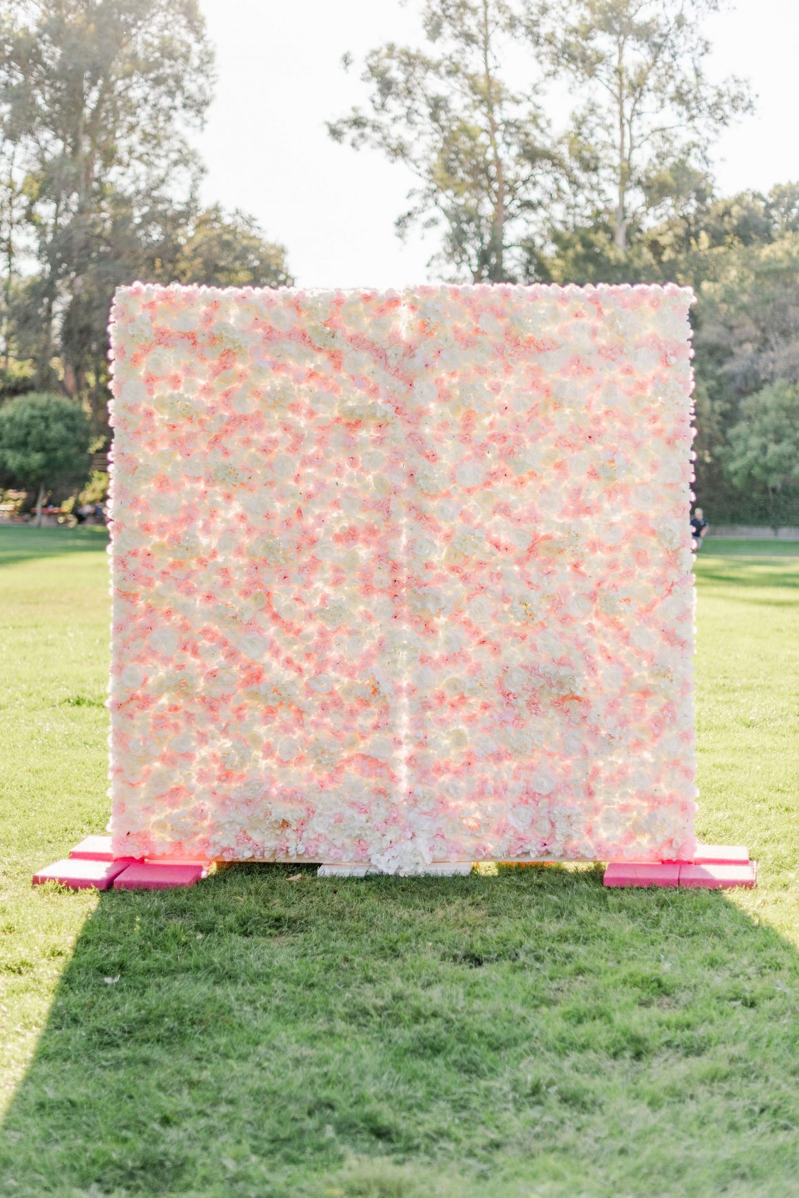Ssproposal-1 | Sonia Begonia Flower Wall Proposal