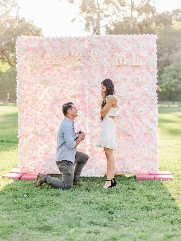 Dream Proposal