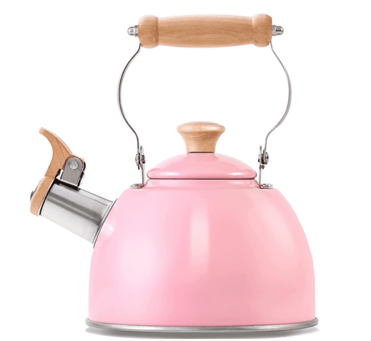 Pink-tea-kettle | Sonia Begonia Pink Tea Kettle