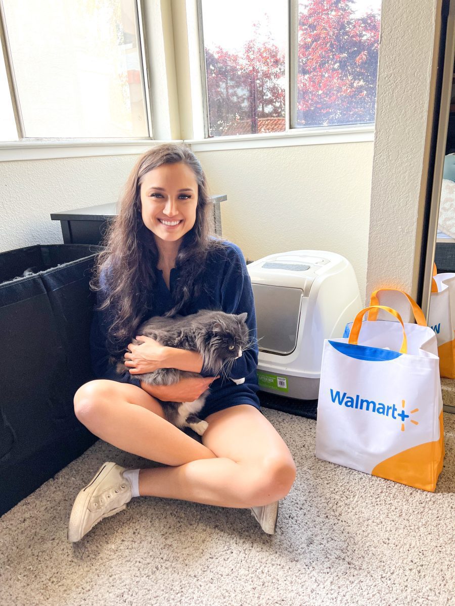 Walmart-pet-food | Sonia Begonia Walmart+ Saves Your Family (Even Your Pets) Time and Money
