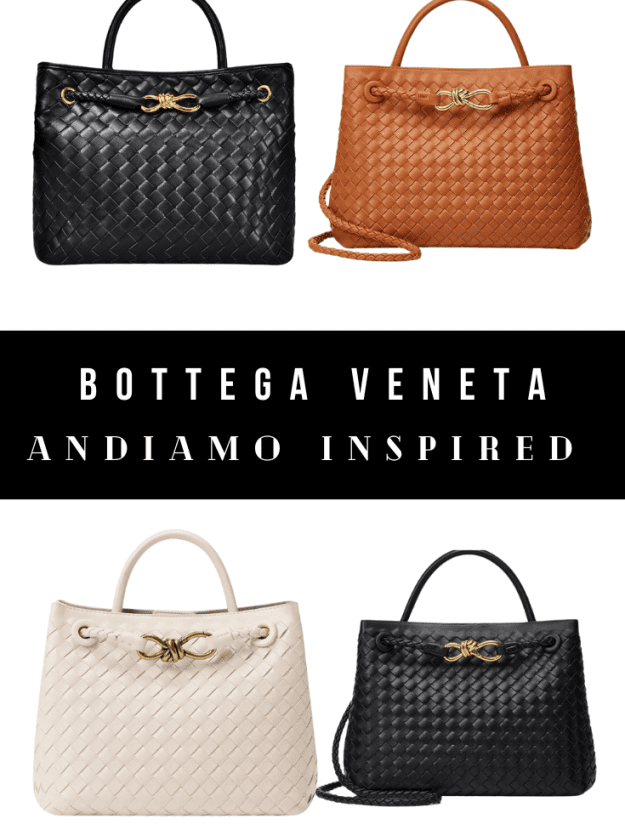Best Bottega Veneta Andiamo Bag Look Alikes and Alternatives