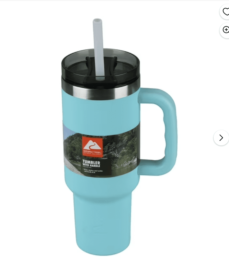 Stanley-look-for-less | Sonia Begonia Affordable Hydroflasks