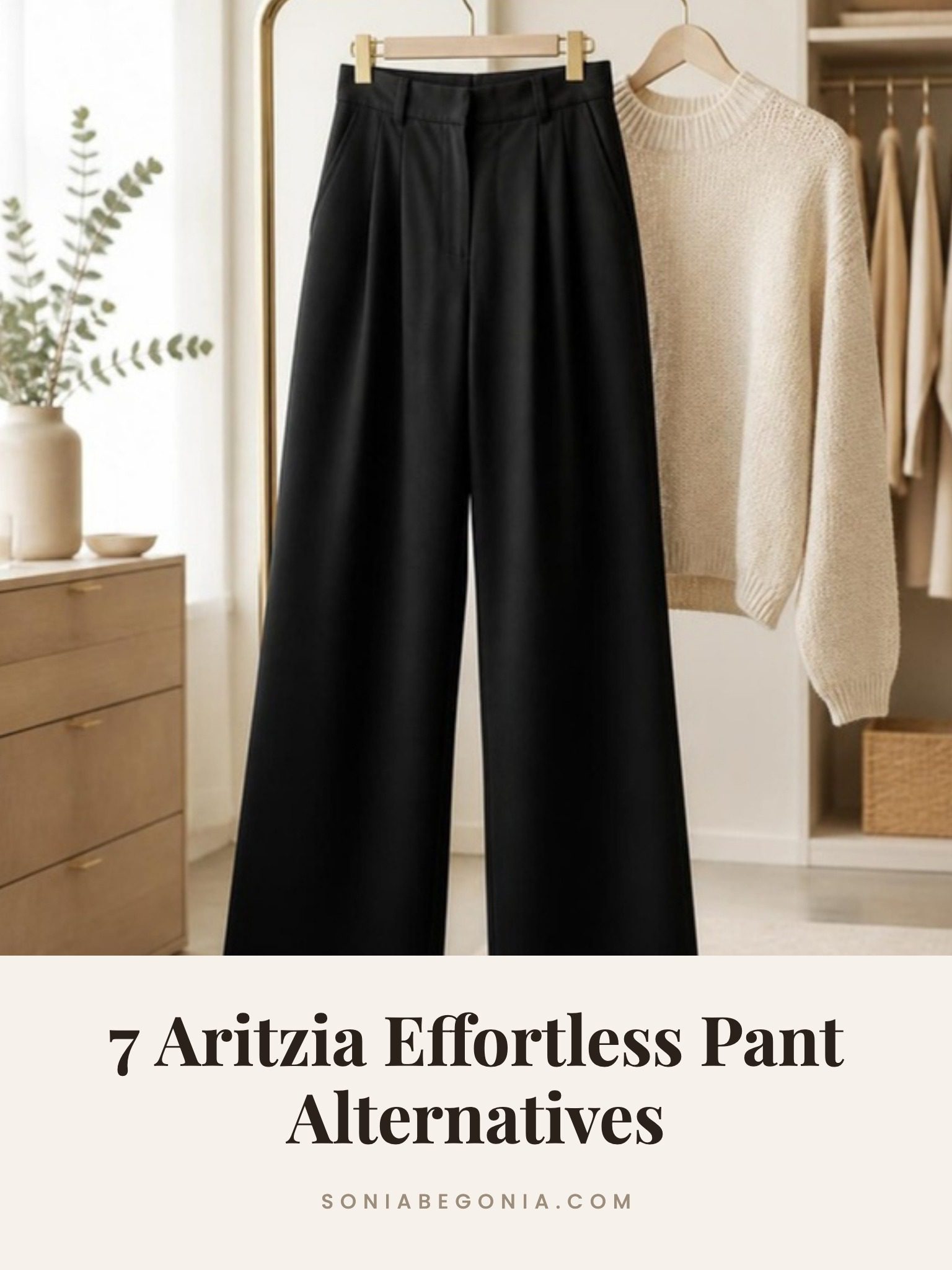 Aritzia Effortless pants alternatives: black pleated wide leg trousers on a gold clothing rack