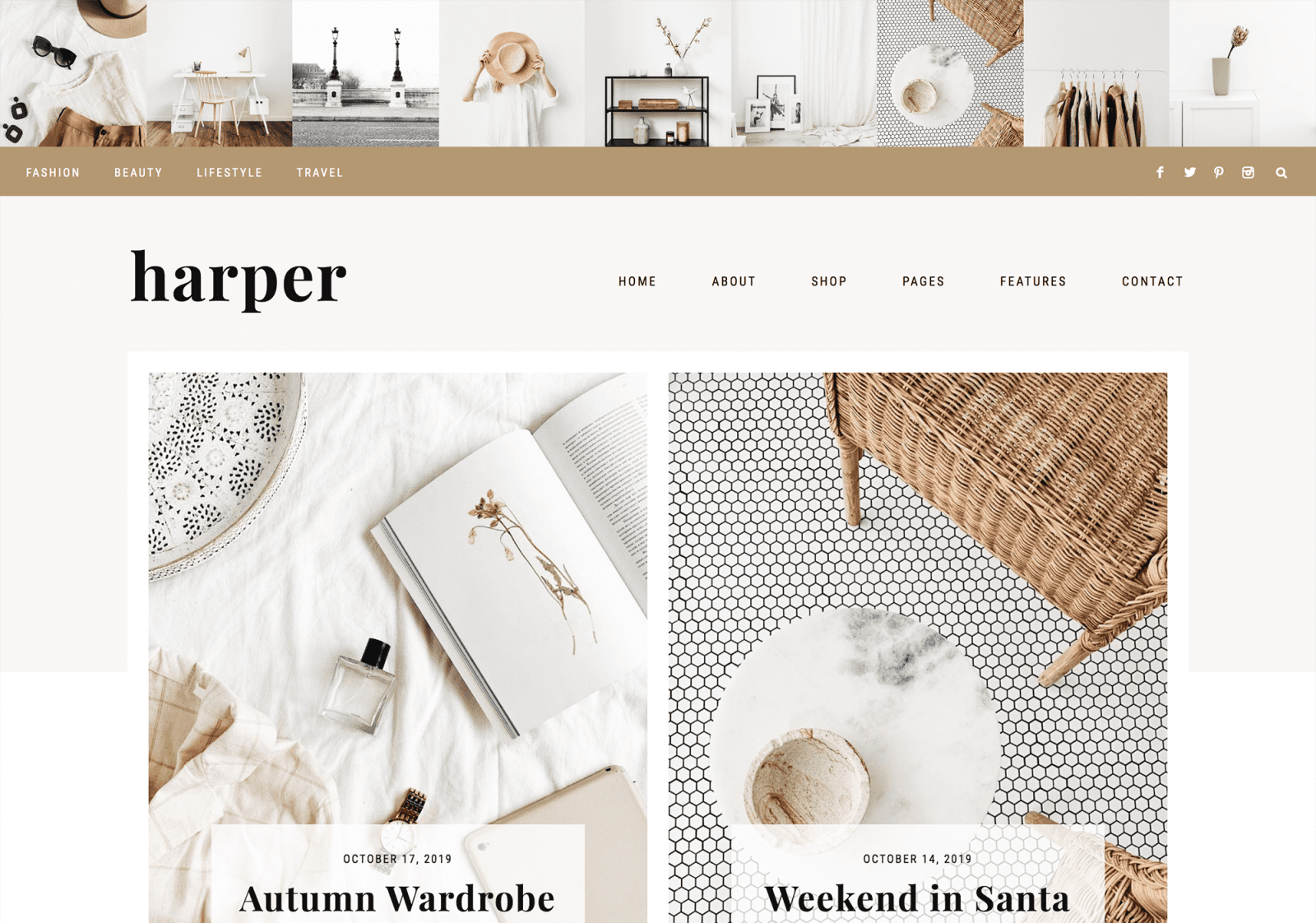 Best Wordpress Themes For Fashion Bloggers